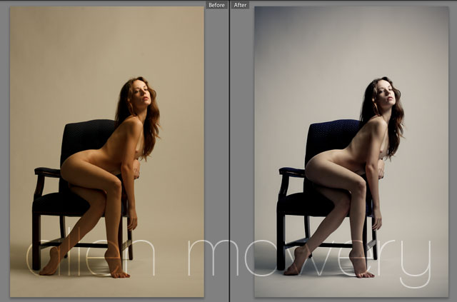Annie Leibovitz Lightroom Preset