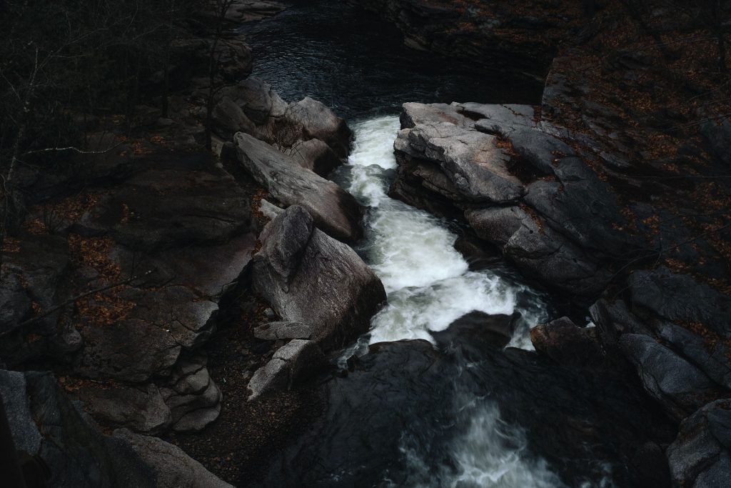 nay_aug_park_scranton_pa-3